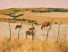 Marie Ban Tarifa Plains