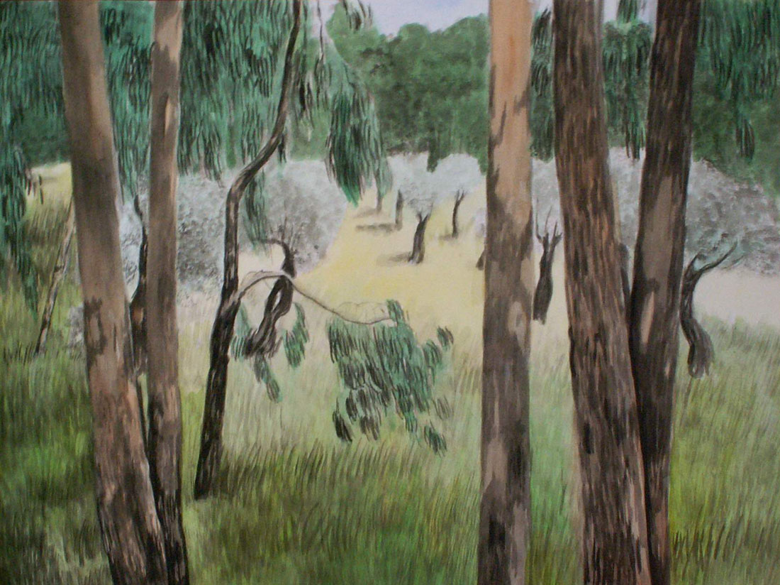 Marie Ban Watercolour Eukalipts