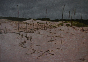 dutch dunes