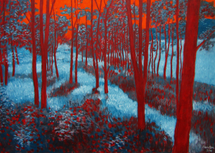 evening forest