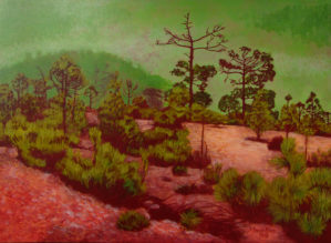 Marie Ban - Forest Crown, Tenerife