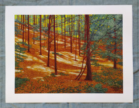 Sunny Groove - Print - Marie Ban