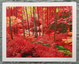 Green-eyed Forest - print