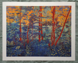 Red-eyed Forest - print