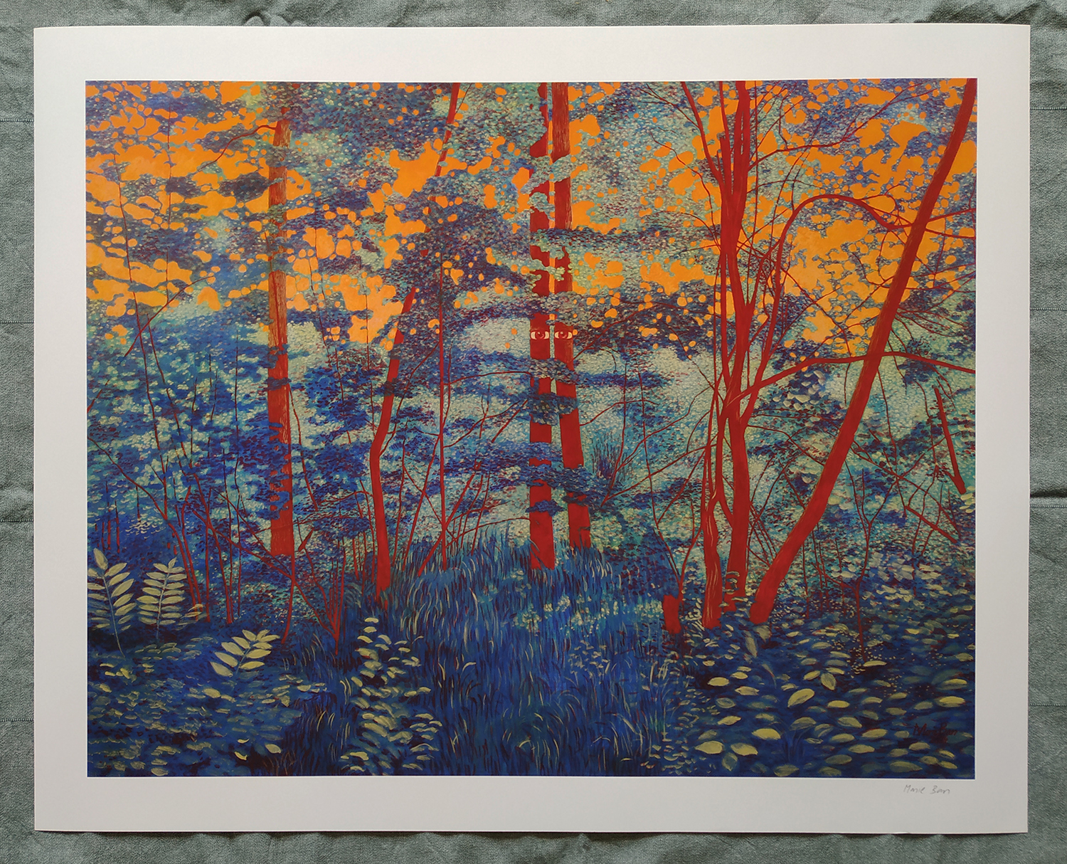 Red-eyed Forest - print