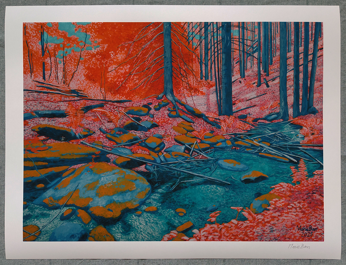 Žlebský Stream - print - Marie Ban